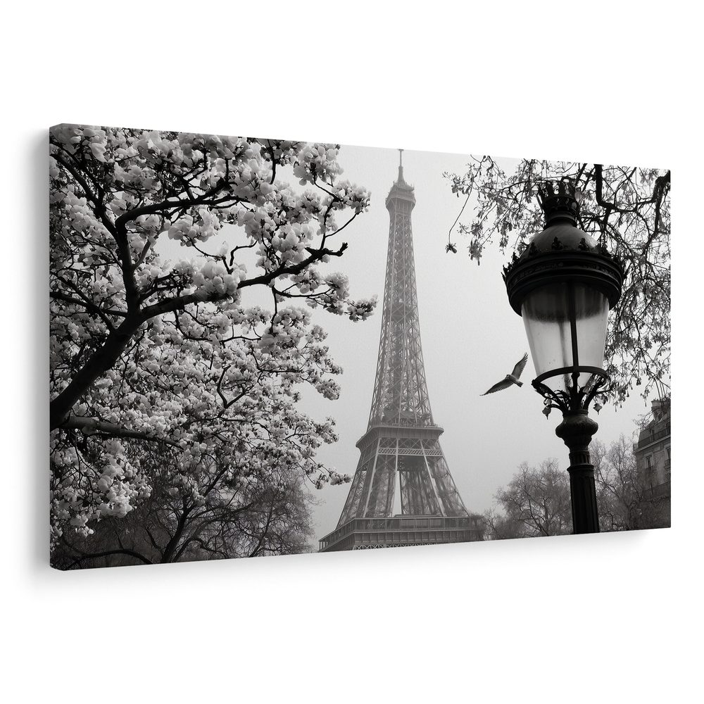 Obraz paríž v zimnej hmle