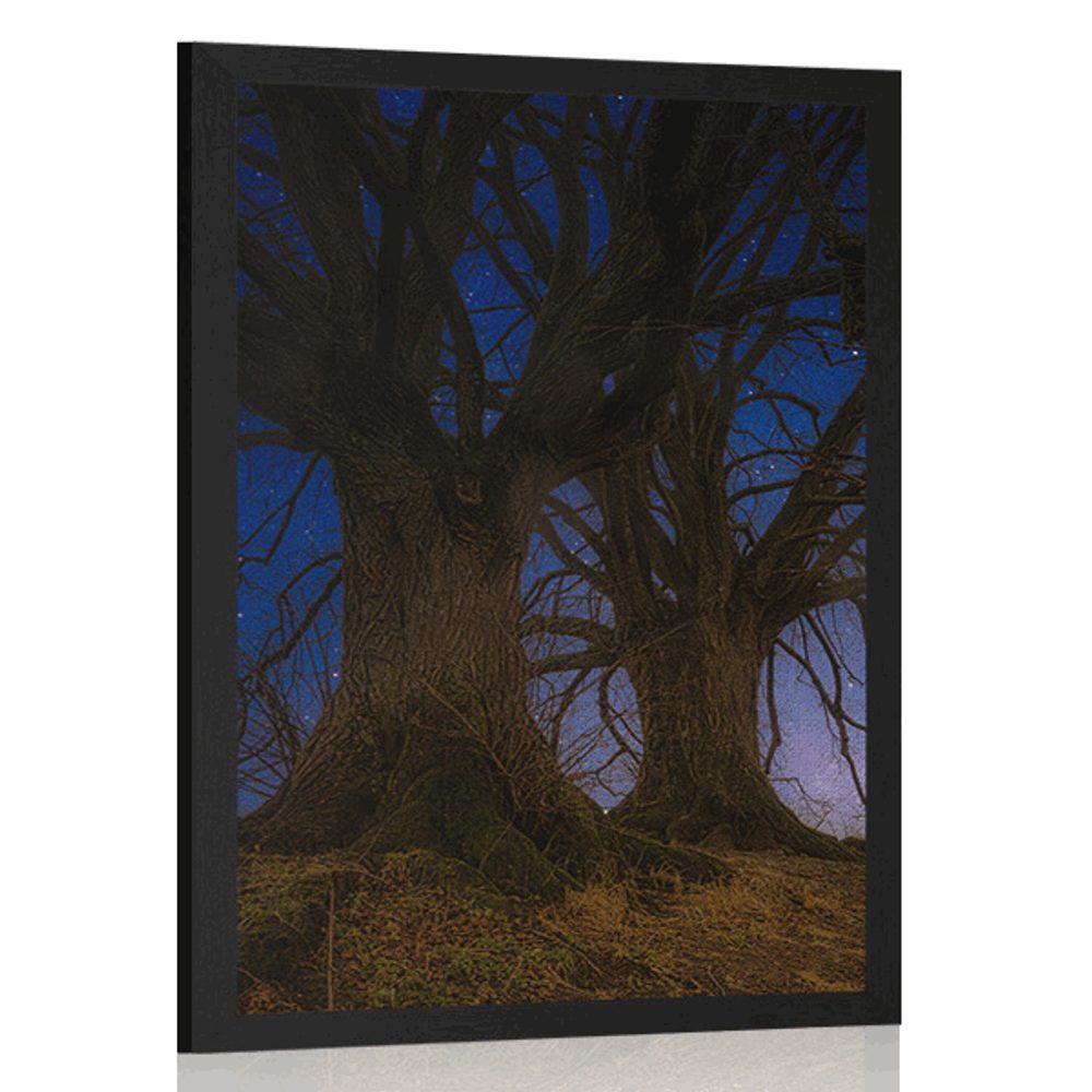 Plakát stromy v noční krajině