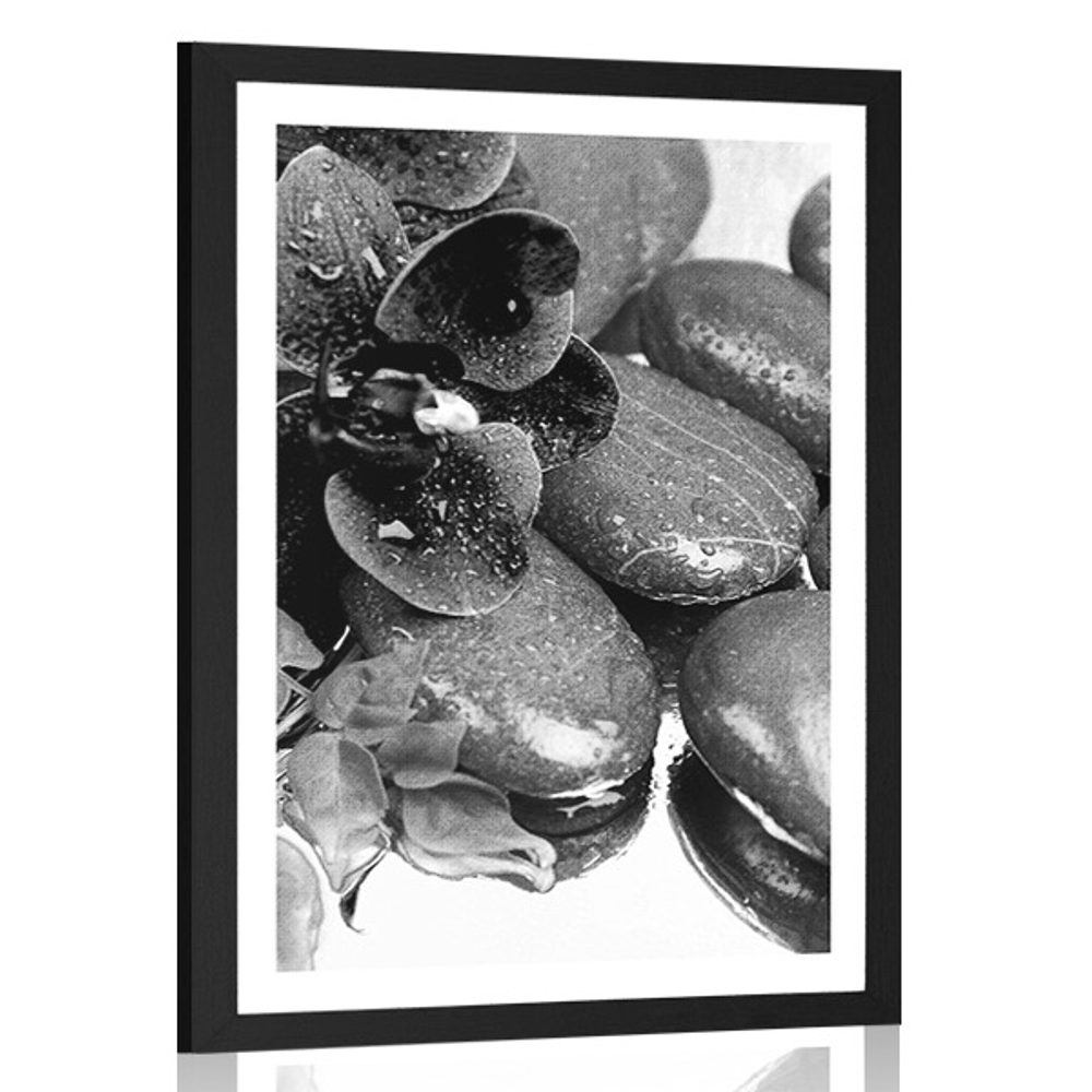 Plakát s paspartou kvetoucí orchidej a wellness kameny v černobílém provedení