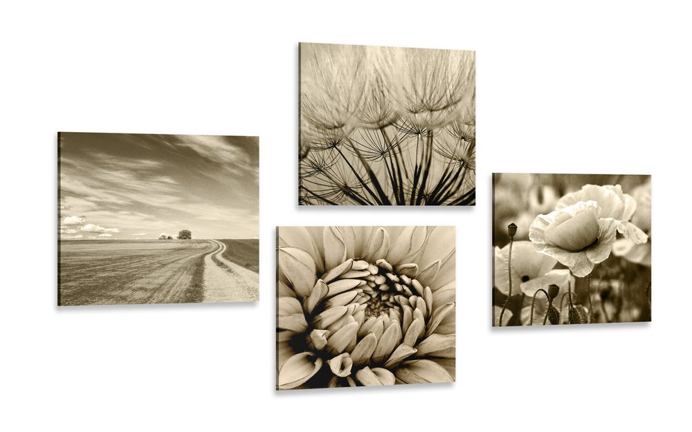 Set obrazů pole s květinami v sépiovém provedení