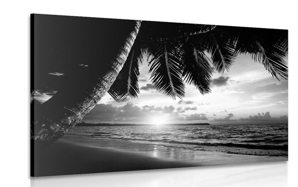 Obraz východ slnka na karibskej pláži v čiernobielom prevedení