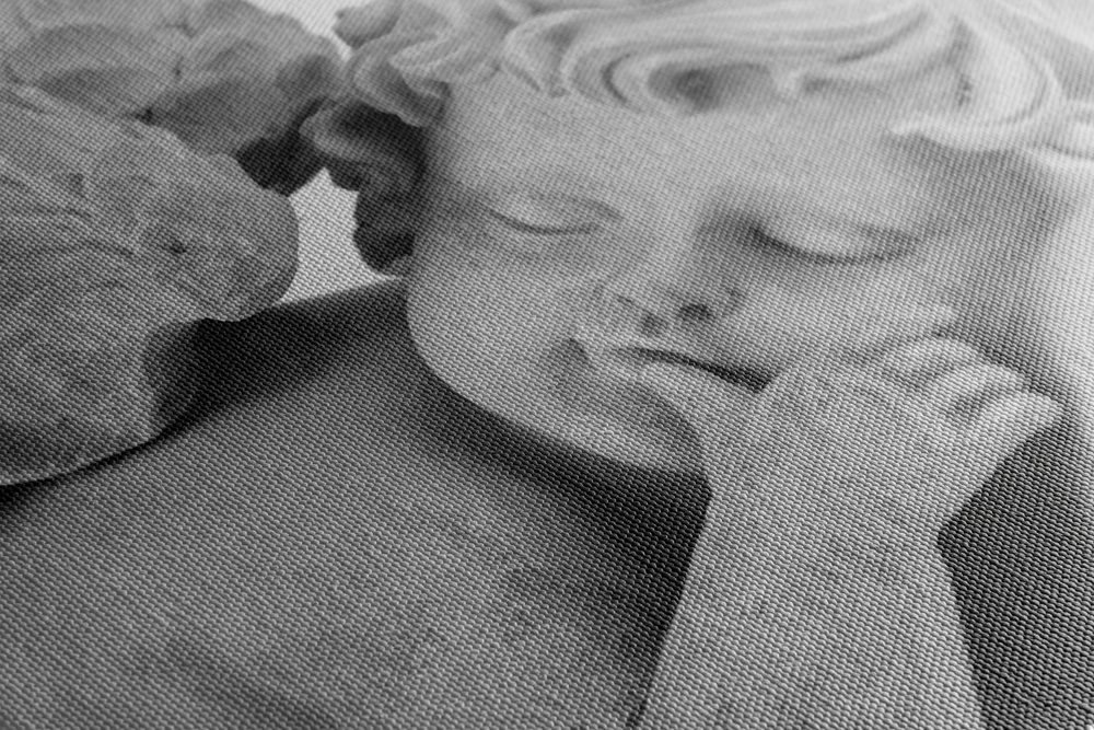 E-shop Obraz čiernobiely spiaci anjelik
