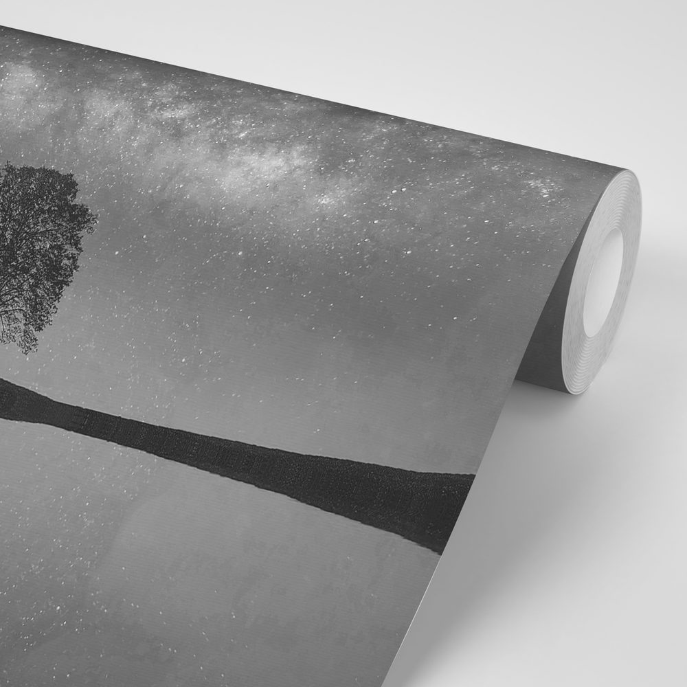 E-shop Samolepiaca fototapeta čiernobiela hviezdna obloha nad osamelým stromom