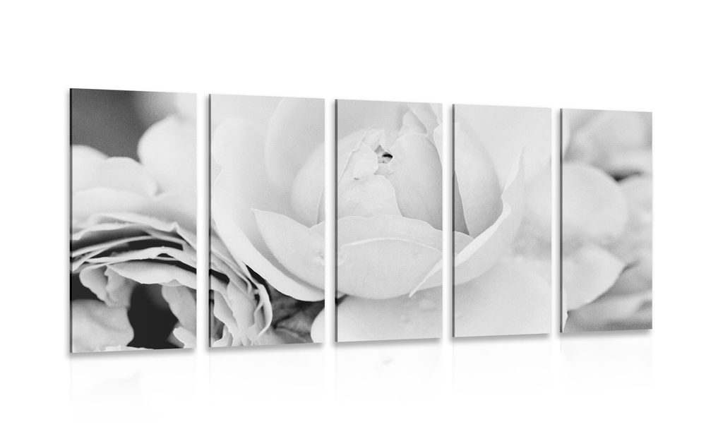 5-dielny obraz plný ruží v čiernobielom prevedení