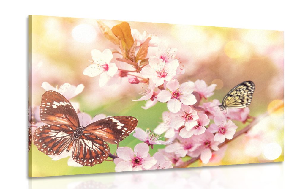 Obraz jarní květiny s exotickými motýly