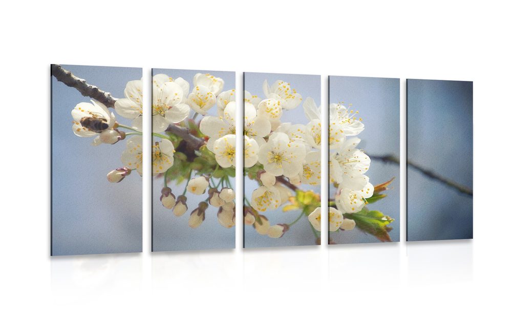 5-dielny obraz kvitnúci konárik čerešne