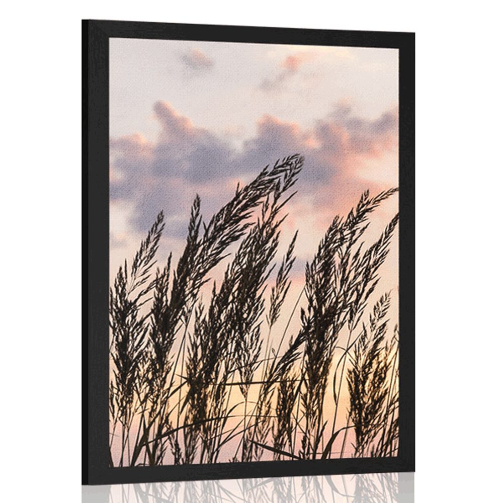 Plakát tráva při zapadajícím slunci