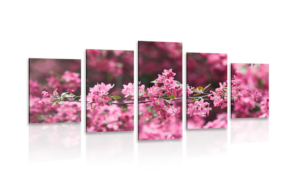 5-dielny obraz detailné kvety čerešne