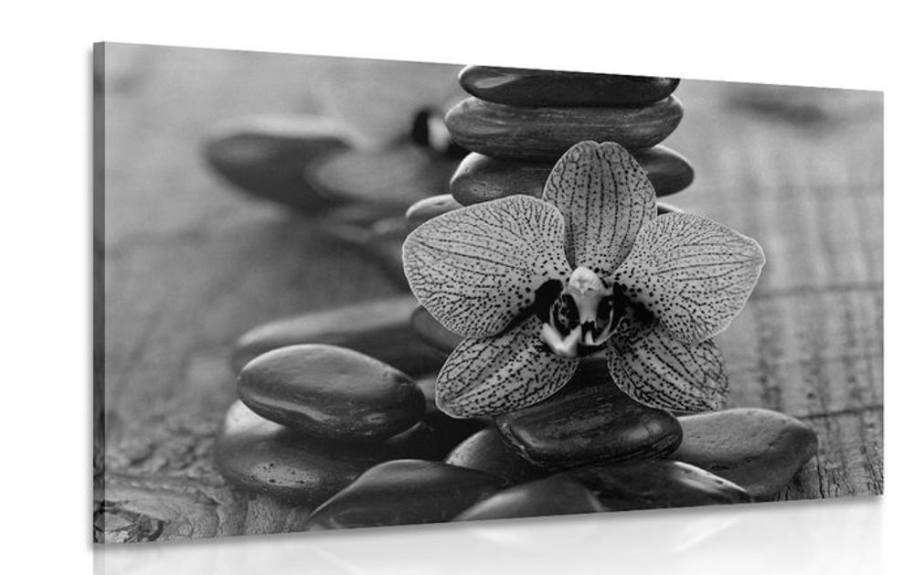 Obraz orchidej a Zen kameny v černobílém provedení
