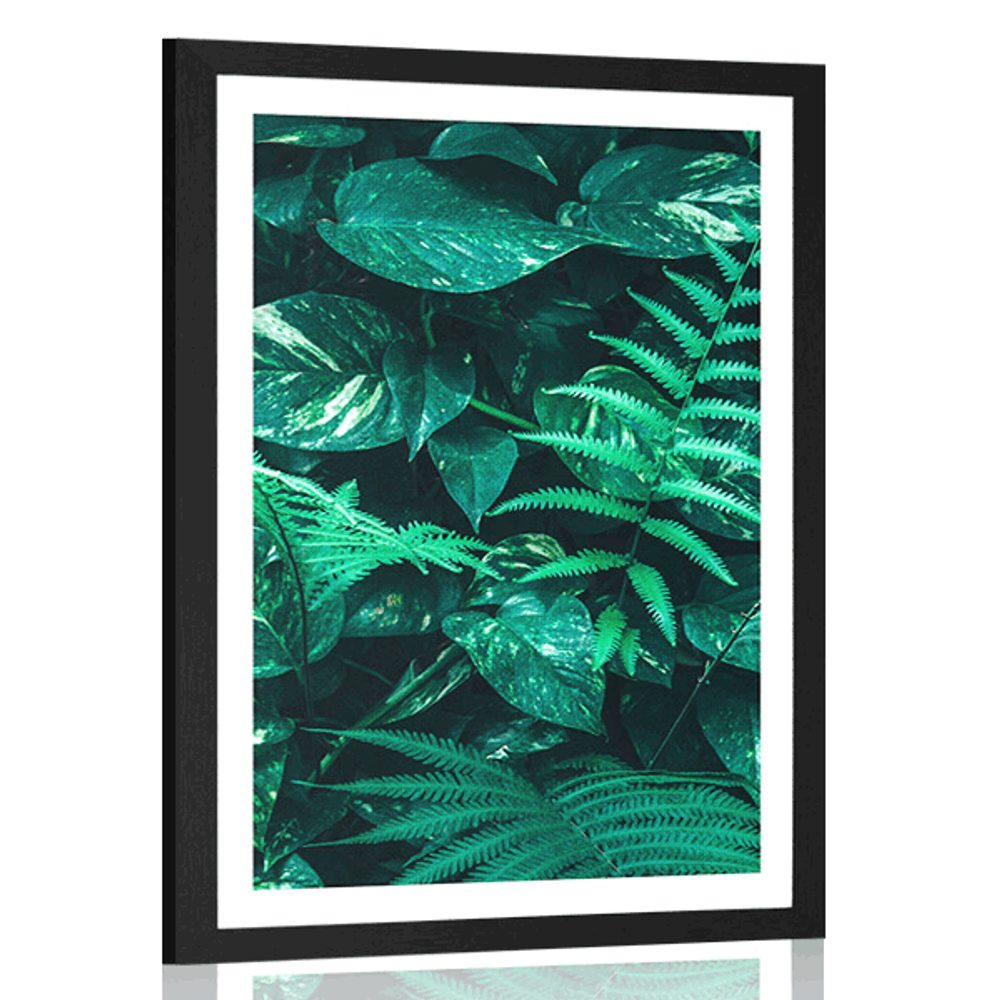 Plakát s paspartou svěží tropické listy