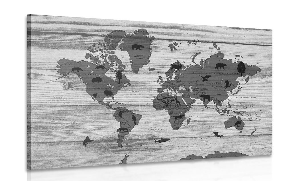 Obraz čiernobiela mapa na drevenom podklade - 60x40