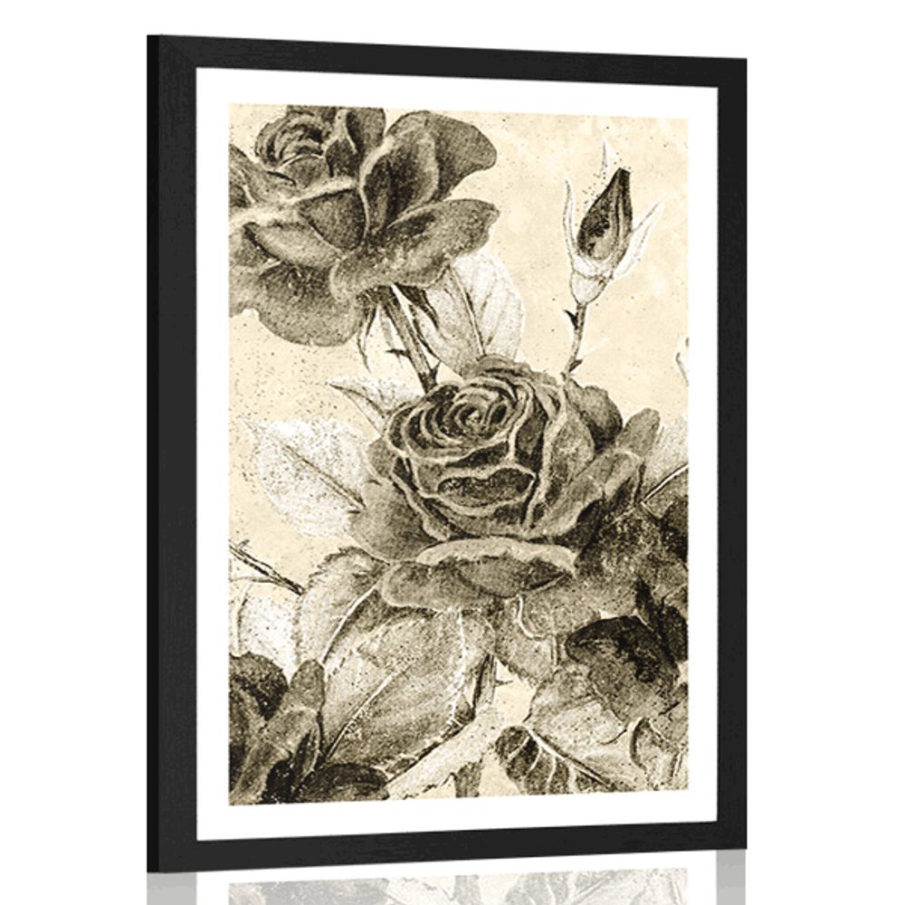 Plakát s paspartou vintage kytice růží v sépiovém provedení