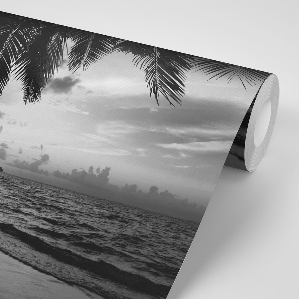 E-shop Samolepiaca fototapeta čiernobiela karibská pláž