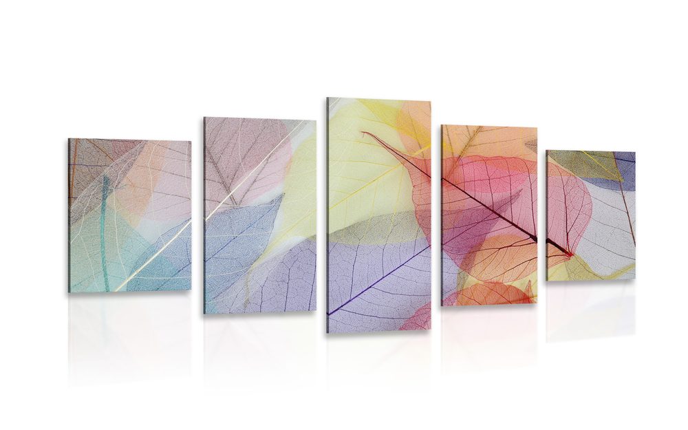5-dielny obraz žilky na farebných listoch