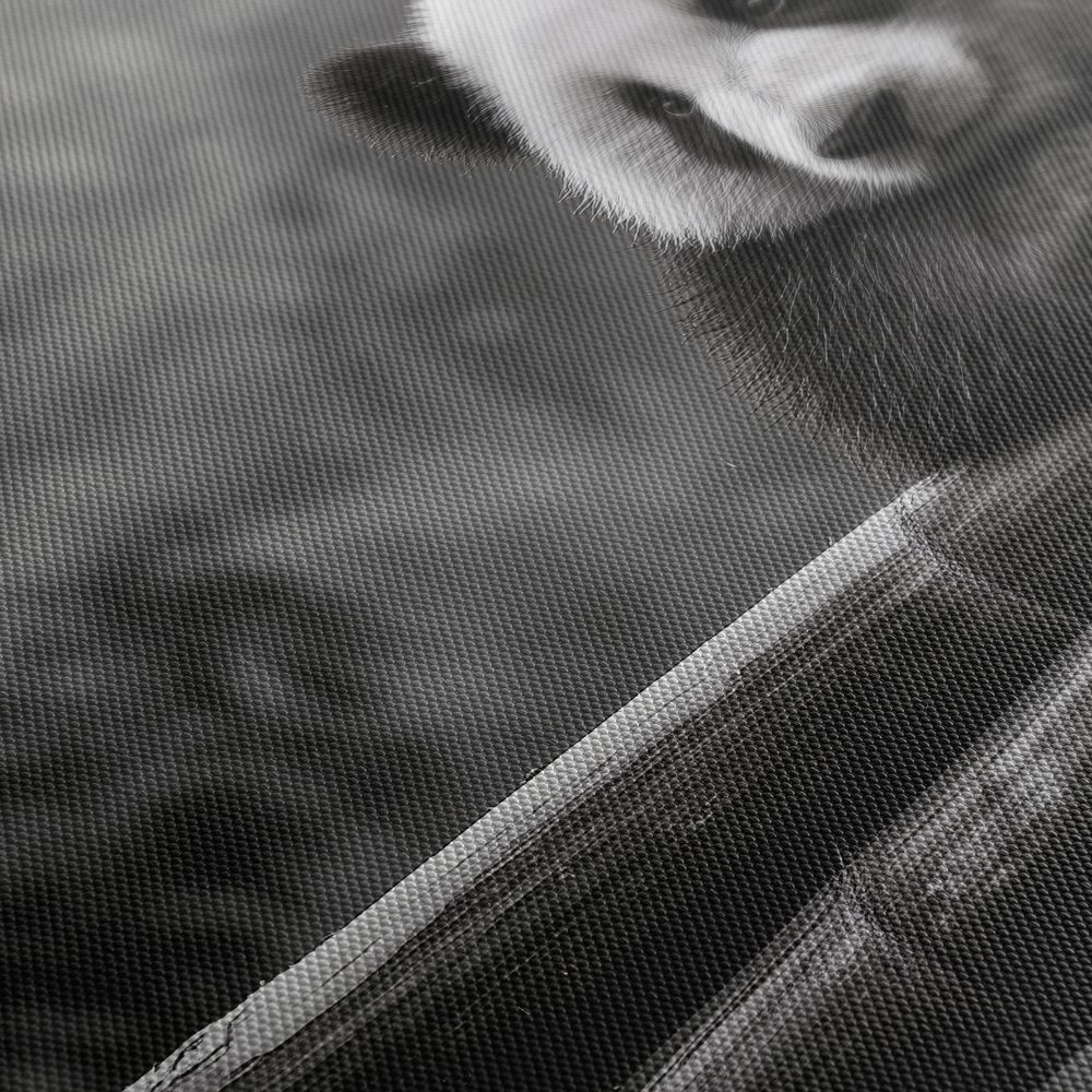 Obraz pokojná panda v prírode