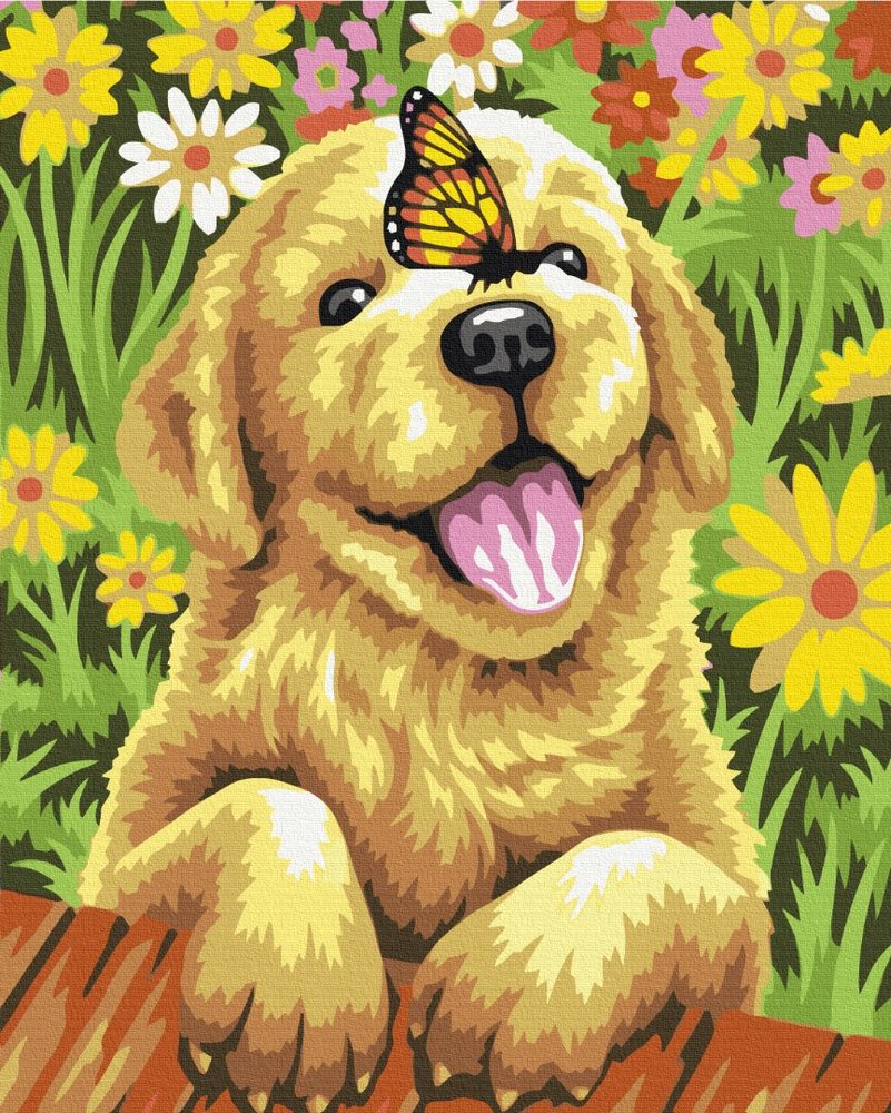 E-shop Maľovanie podľa čísiel hravý pes s motýľom