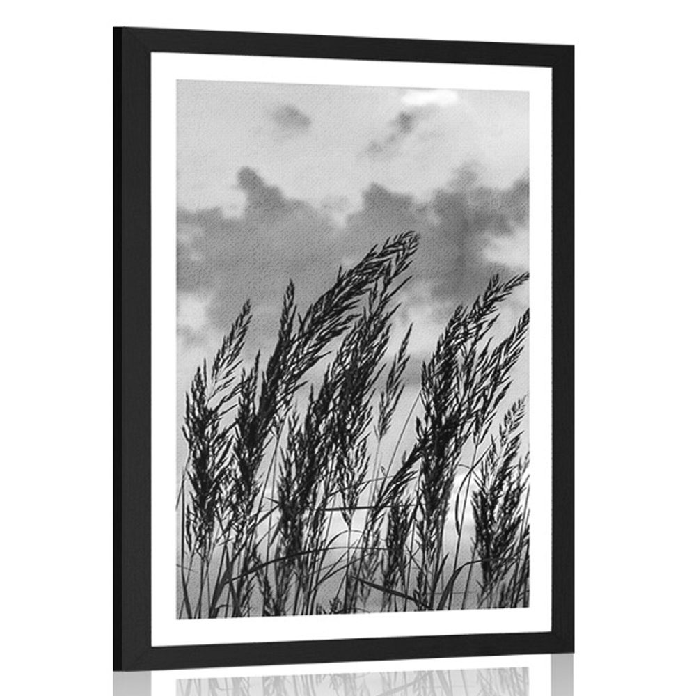 Levně Plakát s paspartou tráva v černobílém provedení