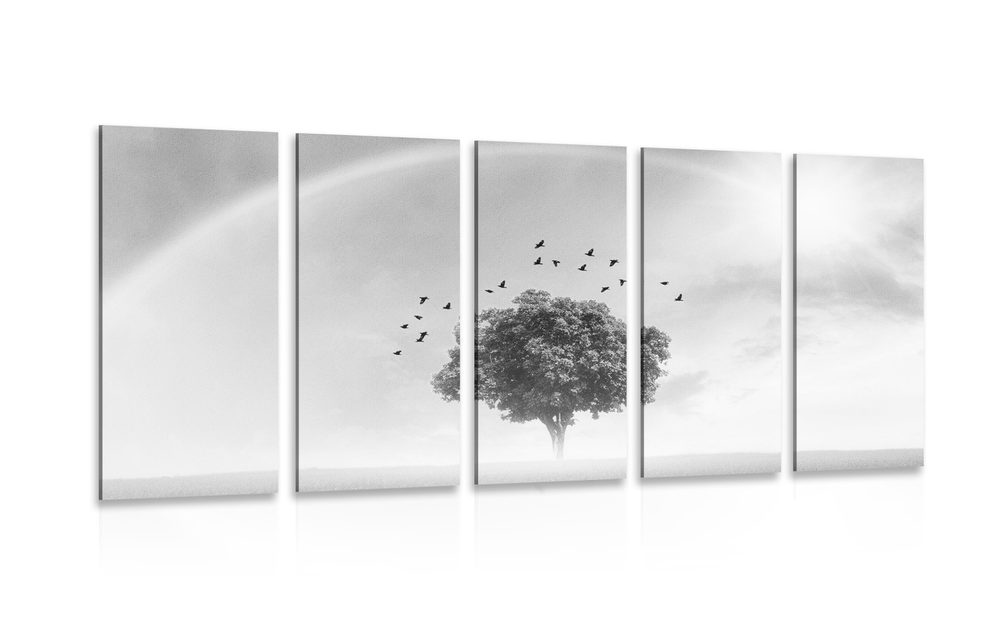 5-dílný obraz osamělý strom na louce v černobílém provedení