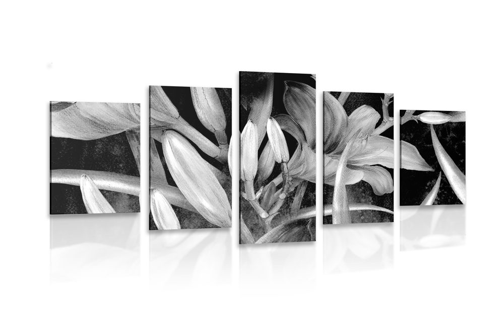5-dielny obraz prebudenie ľalie v čiernobielom prevedení - 100x50