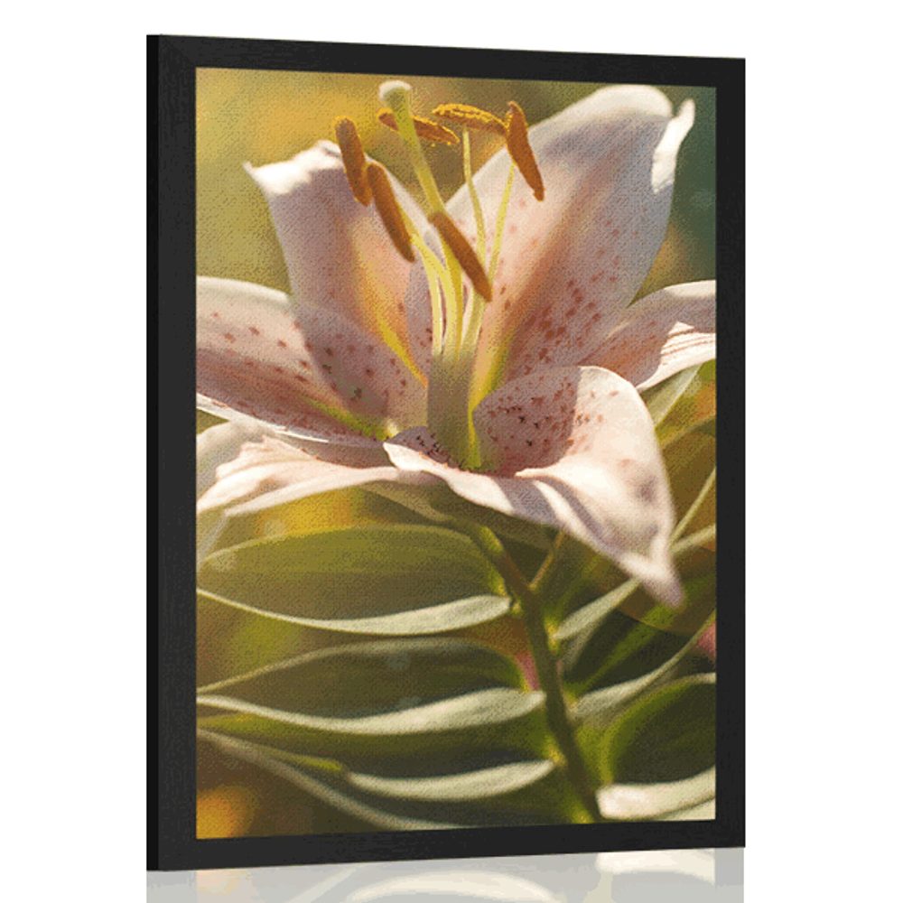 Plakát nádherný květ s retro nádechem