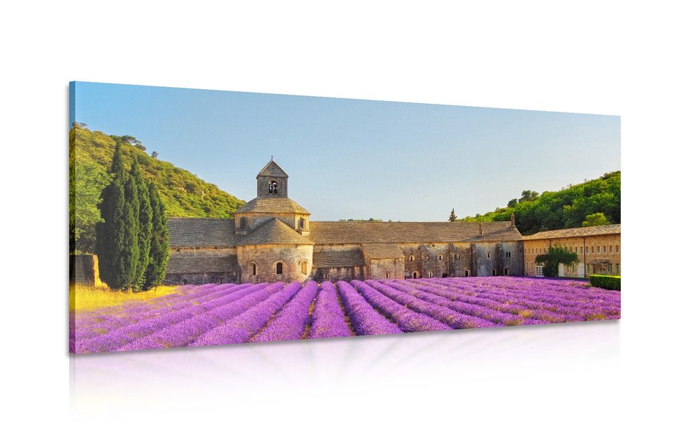 Obraz Provence s levandulovými poli