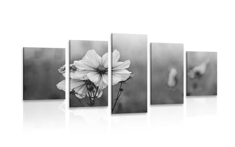 5-dielny obraz rozkvitnutý kvet v čiernobielom prevedení