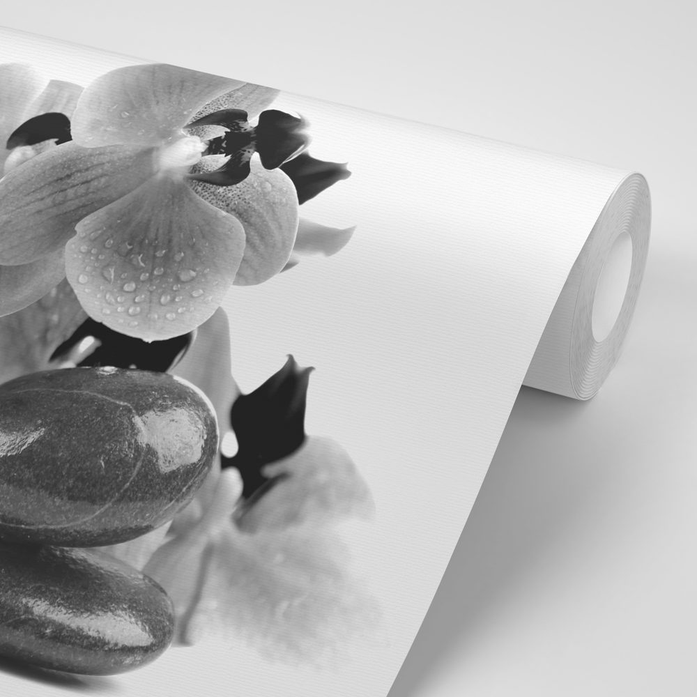E-shop Samolepiaca fototapeta čiernobiele kamene a orchidea