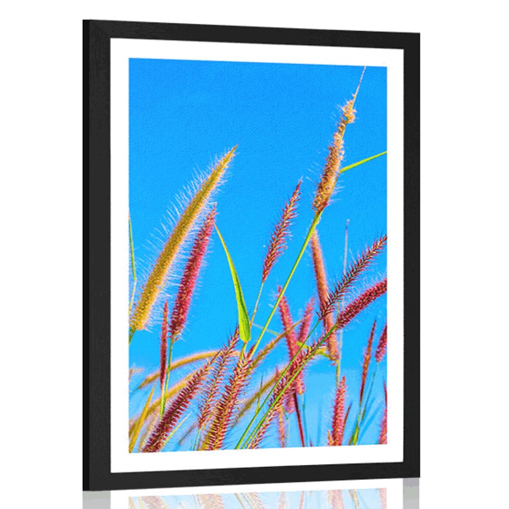 Plakát s paspartou divoká tráva pod modrou oblohou