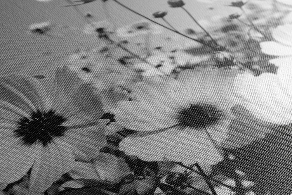 E-shop Obraz lúka jarných kvetov v čiernobielom prevedení
