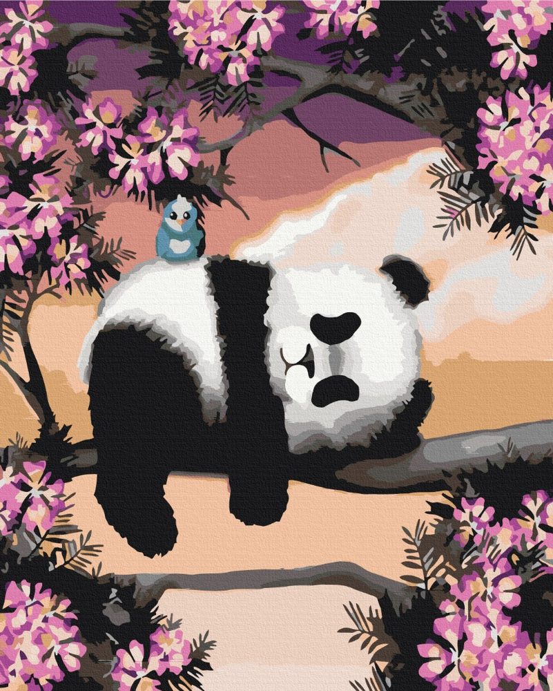 E-shop Maľovanie podľa čísiel ospalá panda