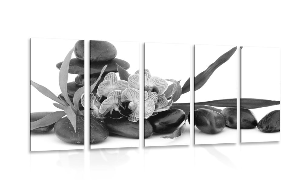 5-dílný obraz orchidej v Zen zátiší v černobílém provedení