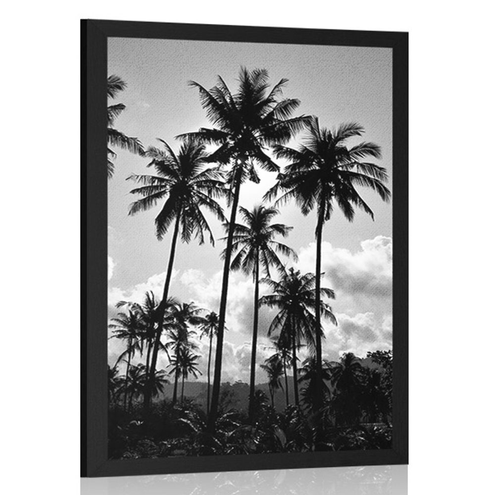 Plagát kokosové palmy na pláži v čiernobielom prevedení
