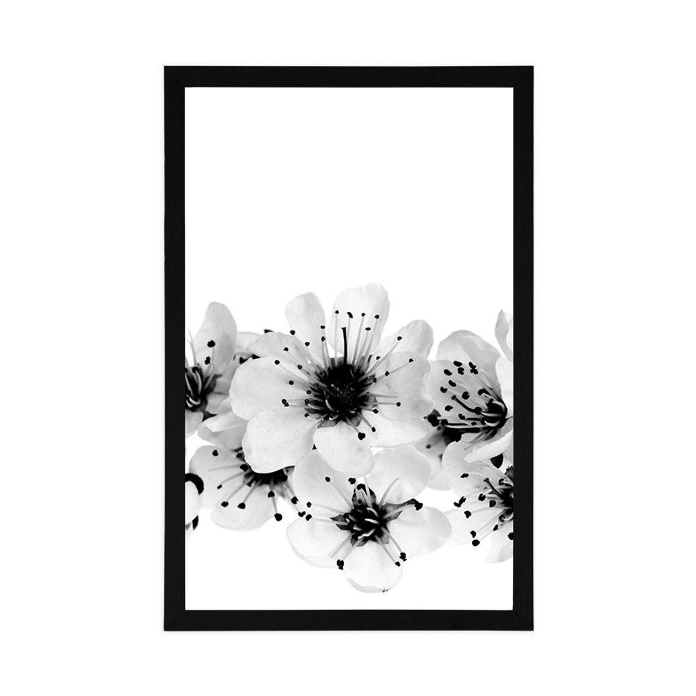E-shop Plagát čerešňové kvety v čiernobielom prevedení