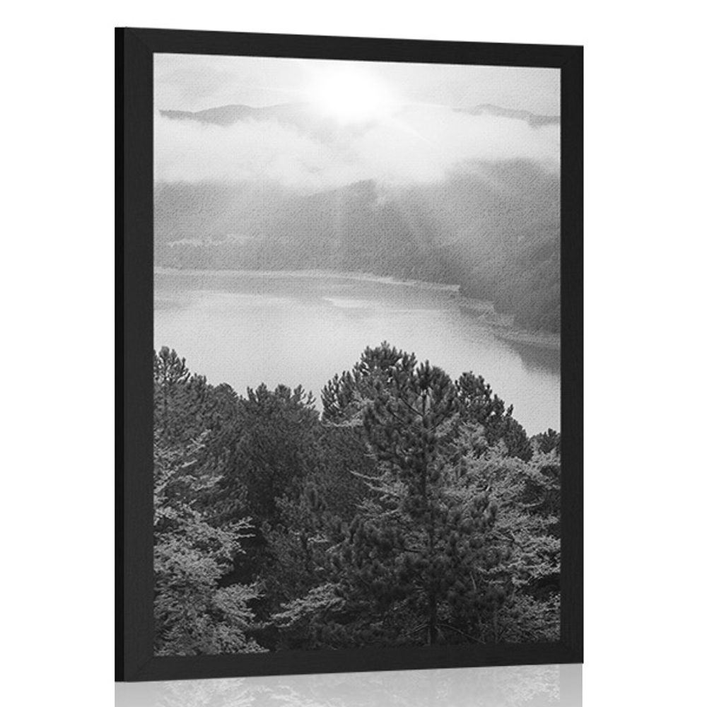 Plakát řeka uprostřed lesa v černobílém provedení