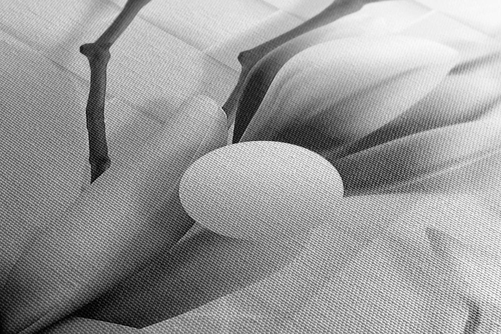 E-shop Obraz čiernobiela magnólia s abstraktnými prvkami