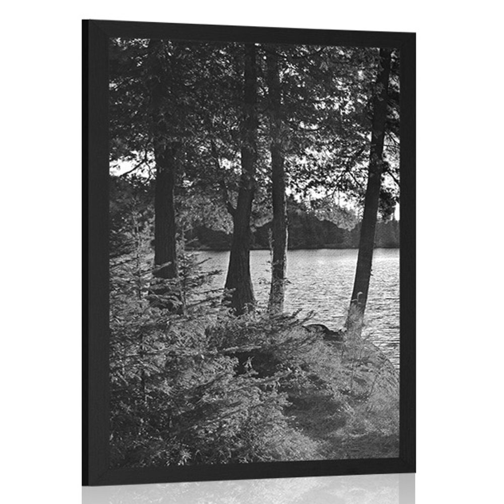 Plakát výhled na jezero v černobílém