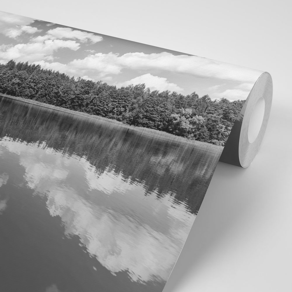 E-shop Samolepiaca fototapeta čiernobiele jazero v lete