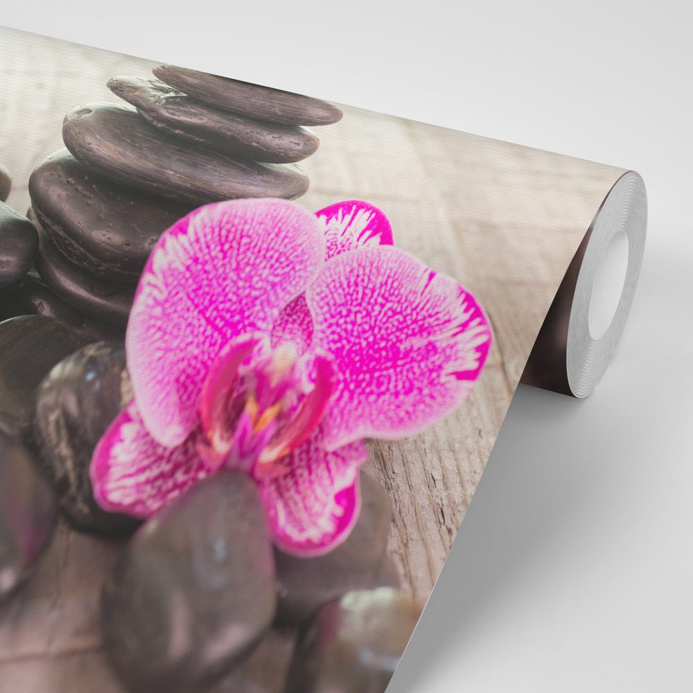 E-shop Fototapeta orchidea a Zen kamene na dreve