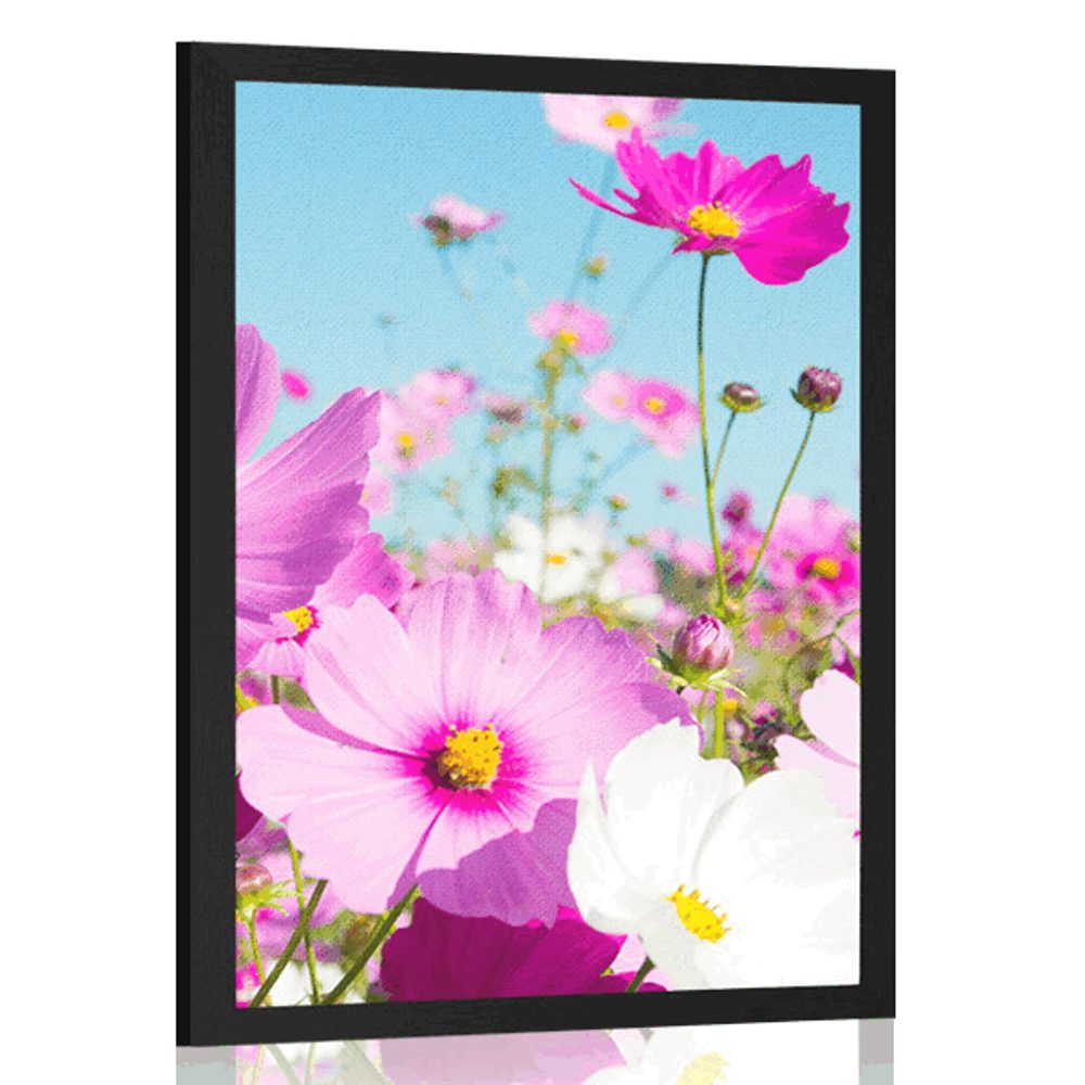 Plakát louka jarních květin