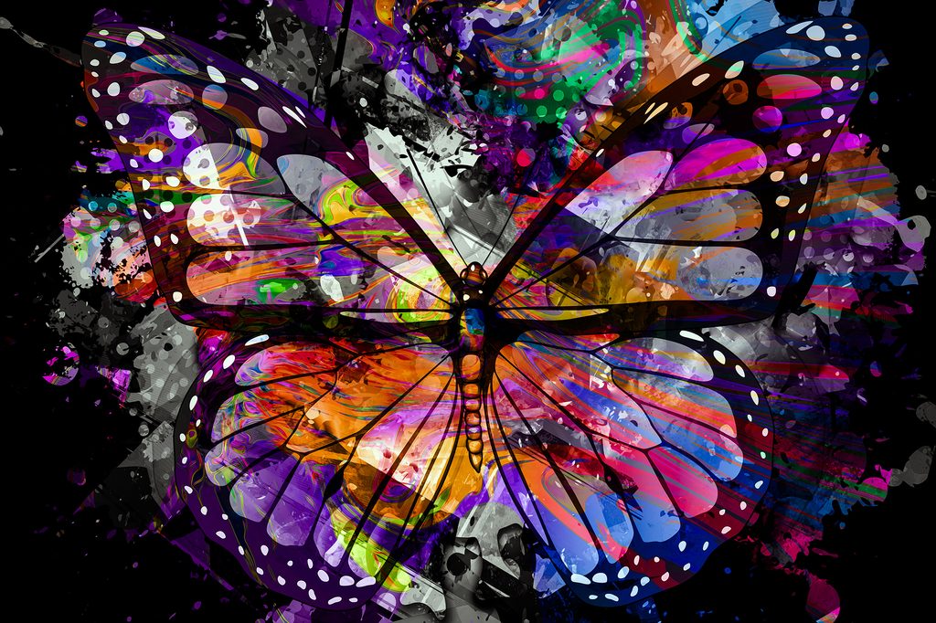 Slika neobični leptir | Dovido.hr