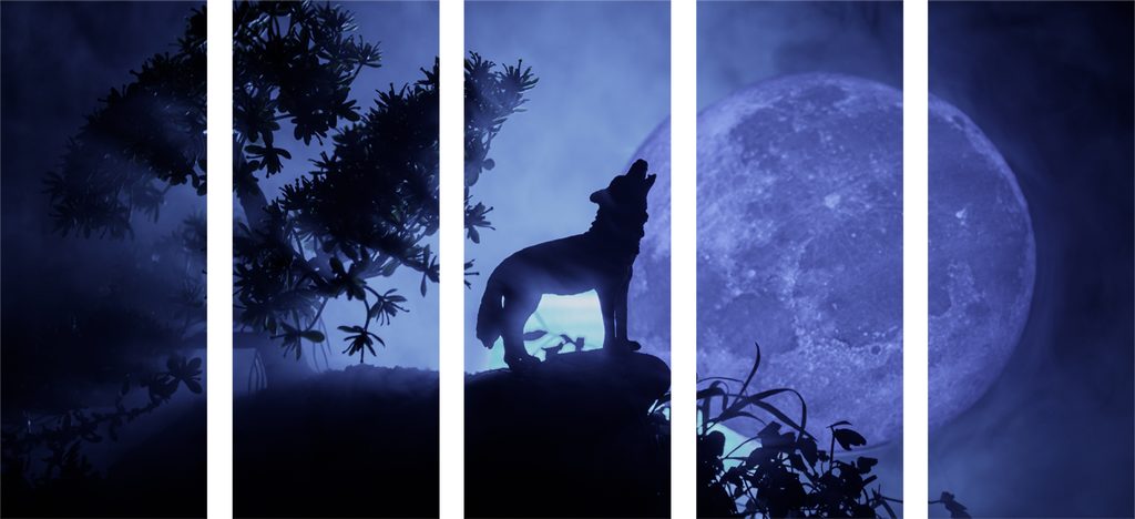Tablou 5-piese lupul în luna plină | Dovido.ro