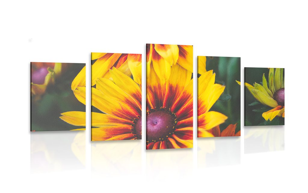5-dielny obraz atraktívne dvojfarebné kvety | Dovido.sk