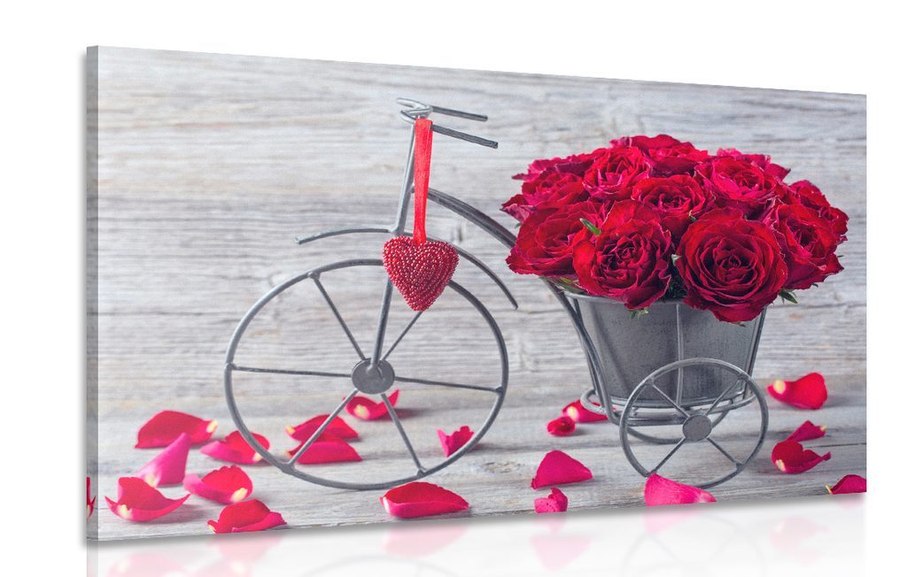 Slika bicikl pun ruža | Dovido.hr