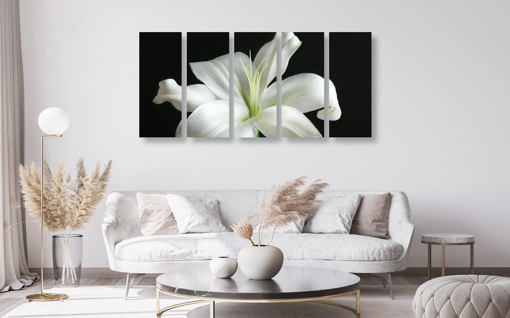 5-delna slika čudovita bela lilija na črnem ozadju | Dovido.si