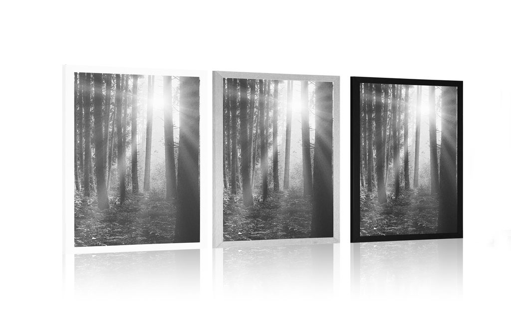 Poster Sonnenaufgang im Wald Schwarz-Weiß in