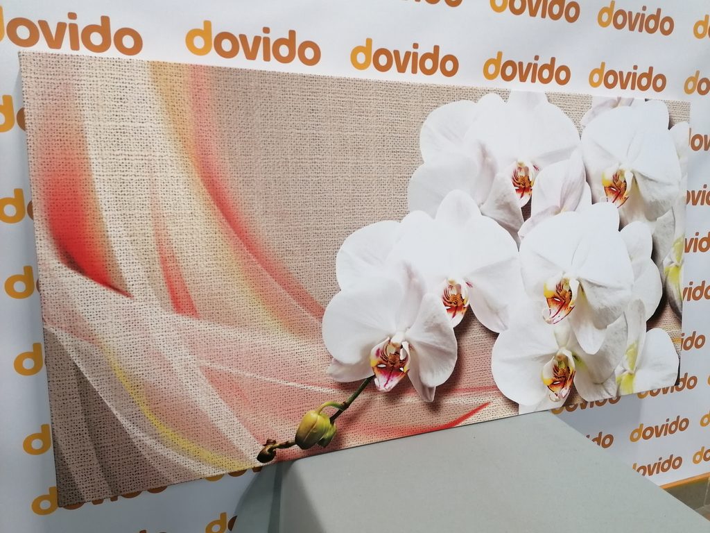 Tablou orhidee albă pe o pânză | Dovido.ro