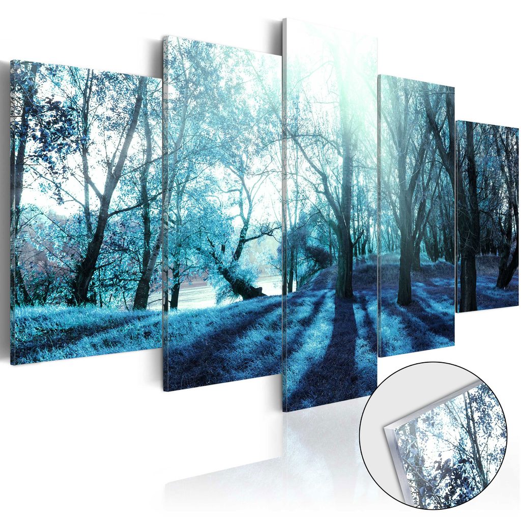 Obraz modrý les na akrylátovom skle - Blue Glade | Dovido.sk
