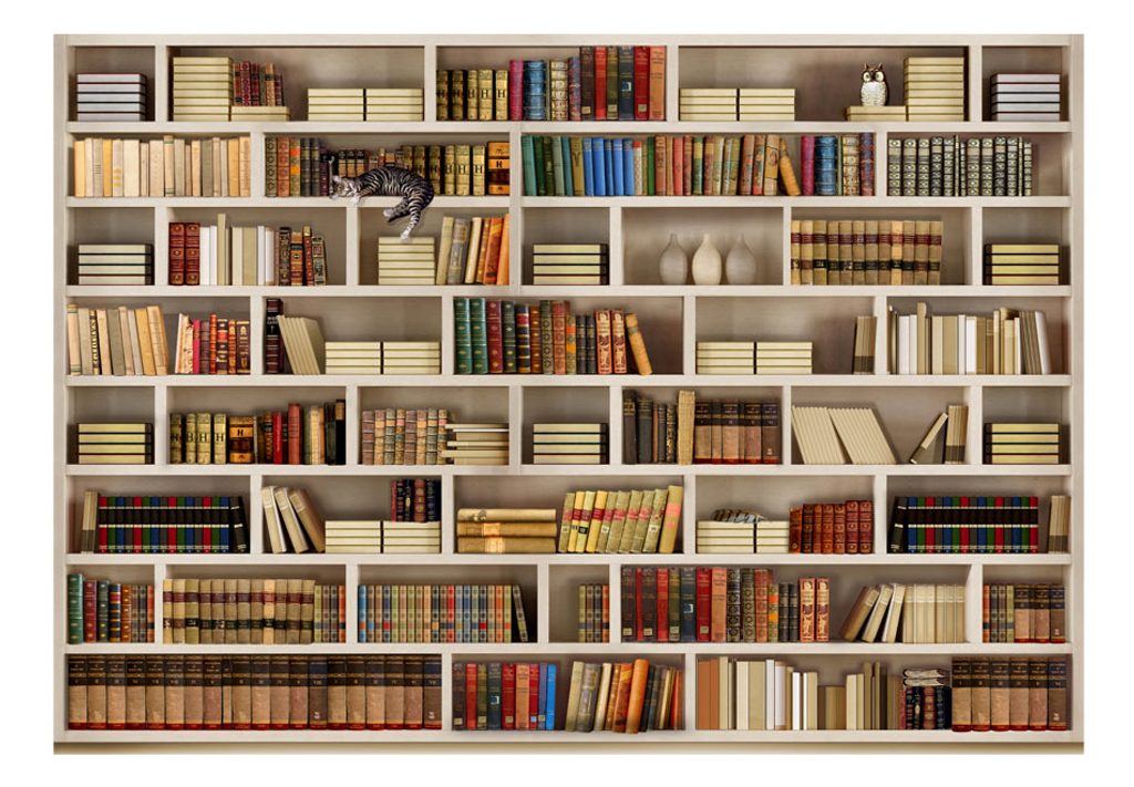 Öntapadó tapéta könyvtár - Home library | Dovido.hu