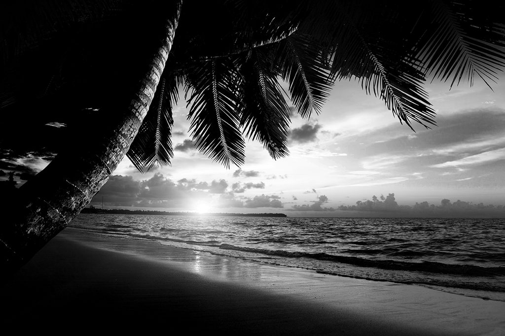 Fototapete Schwarz-weißer karibischer Strand | Dovido.de