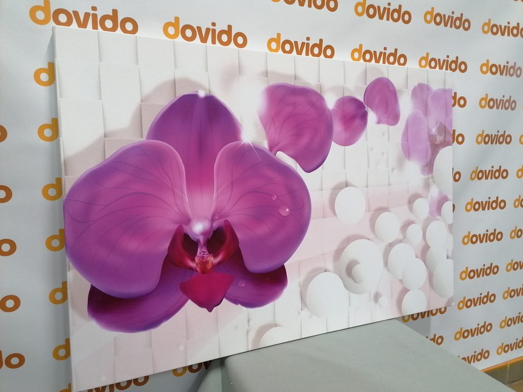 Quadri orchidea su sfondo astratto | Dovido.it